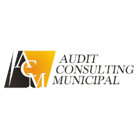 auditconsulting